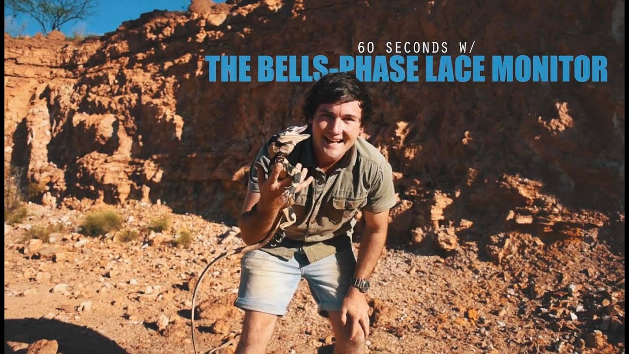 60 seconds w/ The Bells-Phase Lace Monitor!