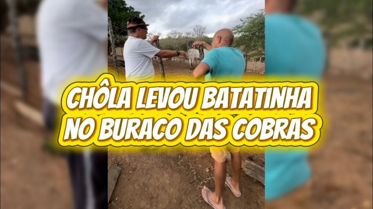 Chôla levou Batatinha no buraco das cobras 
