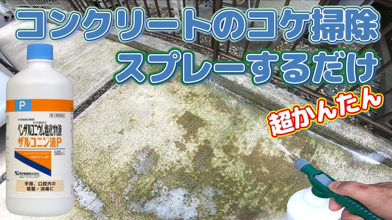 【コンクリートのコケ掃除】自作スプレーのみでかんたん除去！【梅雨の苔掃除動画】