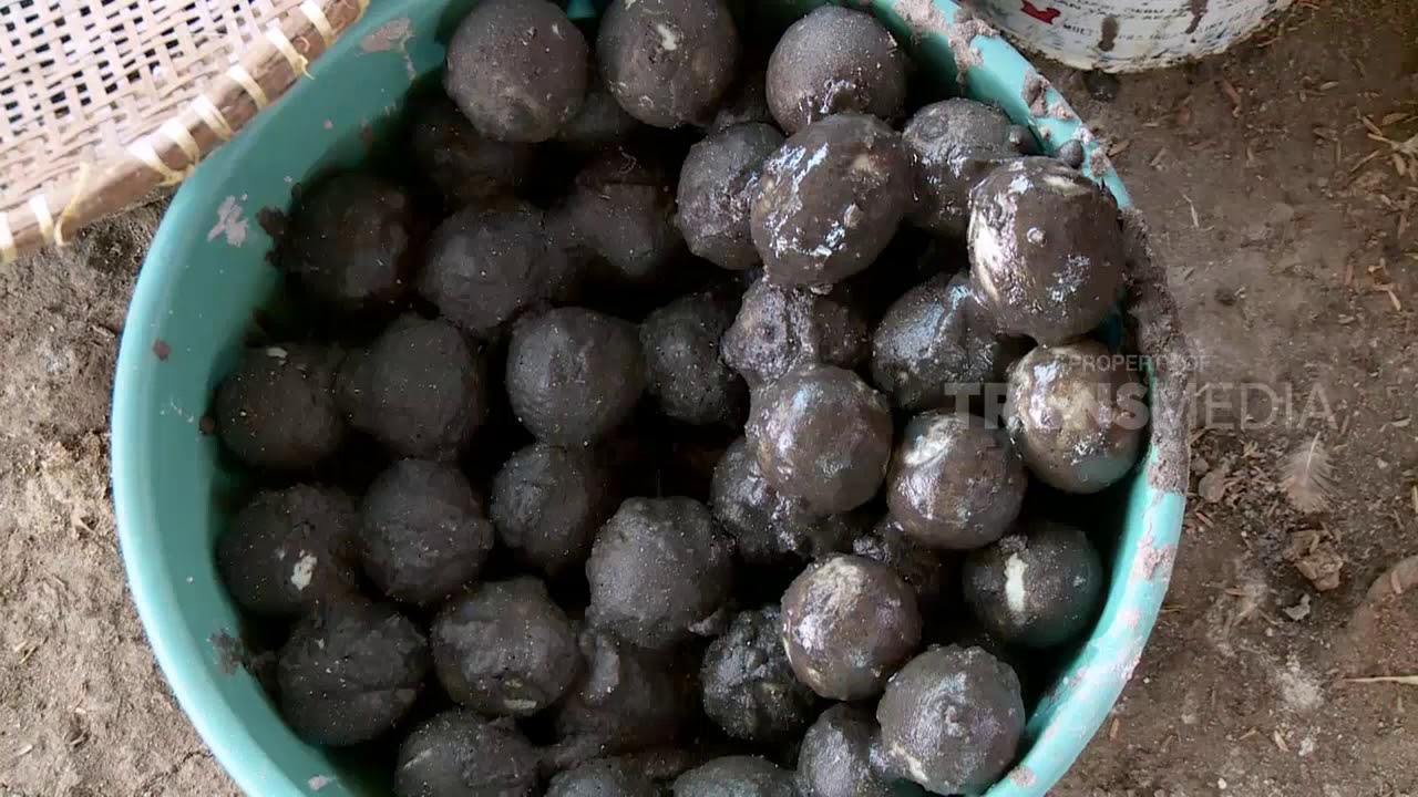 TERTINDAS ! TELUR ASIN PEDAS KHAS BUMI PARAHYANGAN
