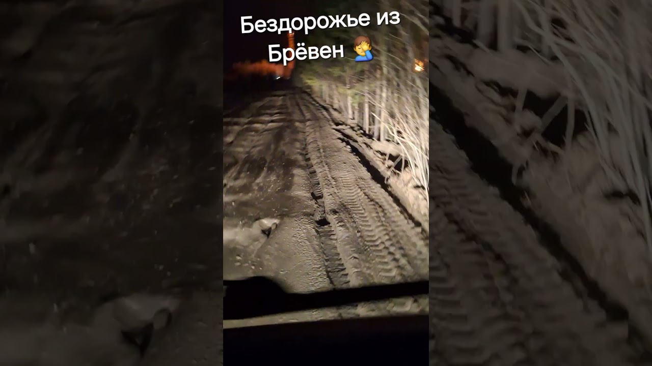 Stas N: Бездорожье Брёвна Ночь  (2025)