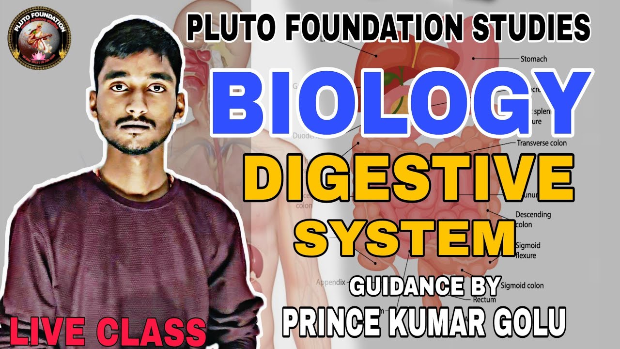 Digestive system by Prince Kumar golu 