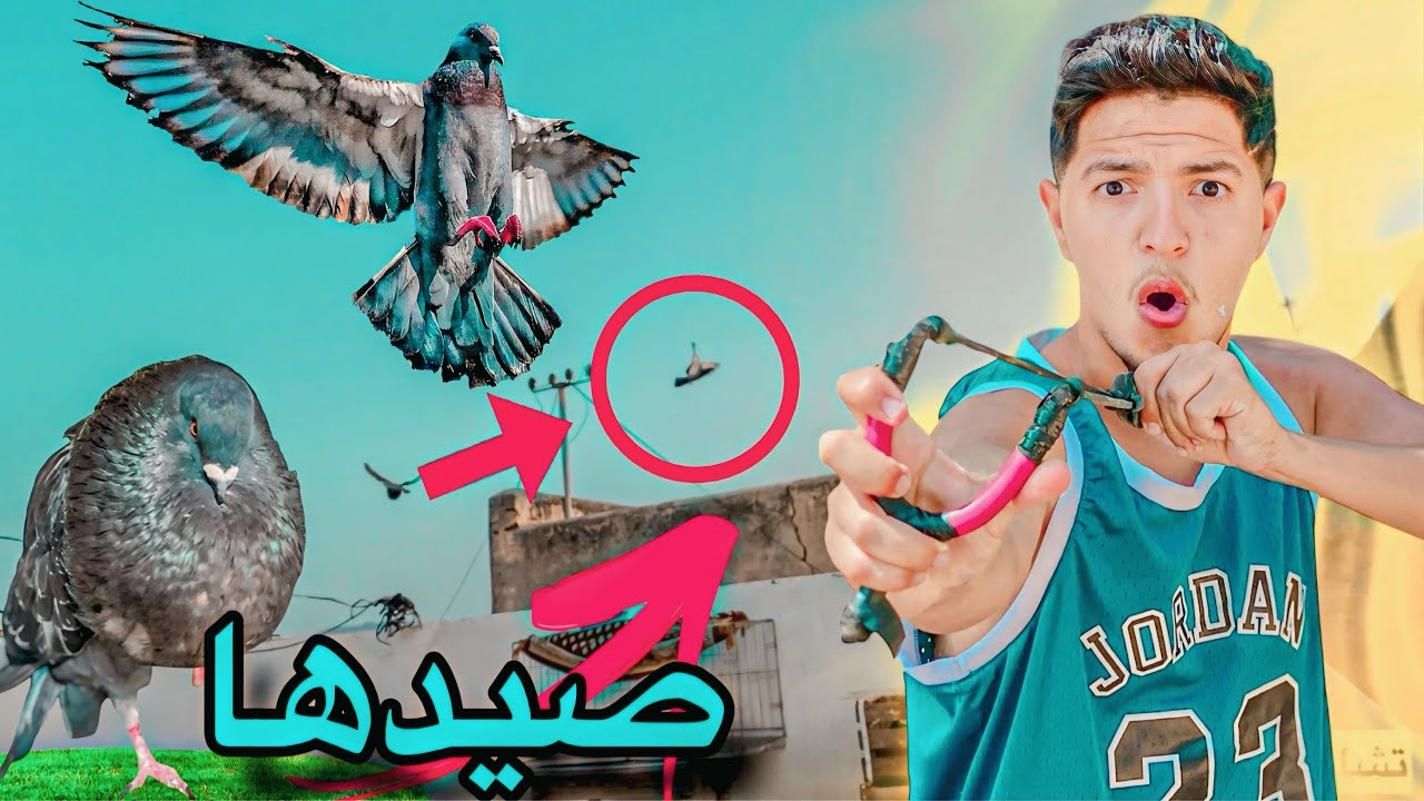 دكر حمام جاب تلات حمامة 🏹 دكر صائد الحمام بموصفات الادرون 🔥
