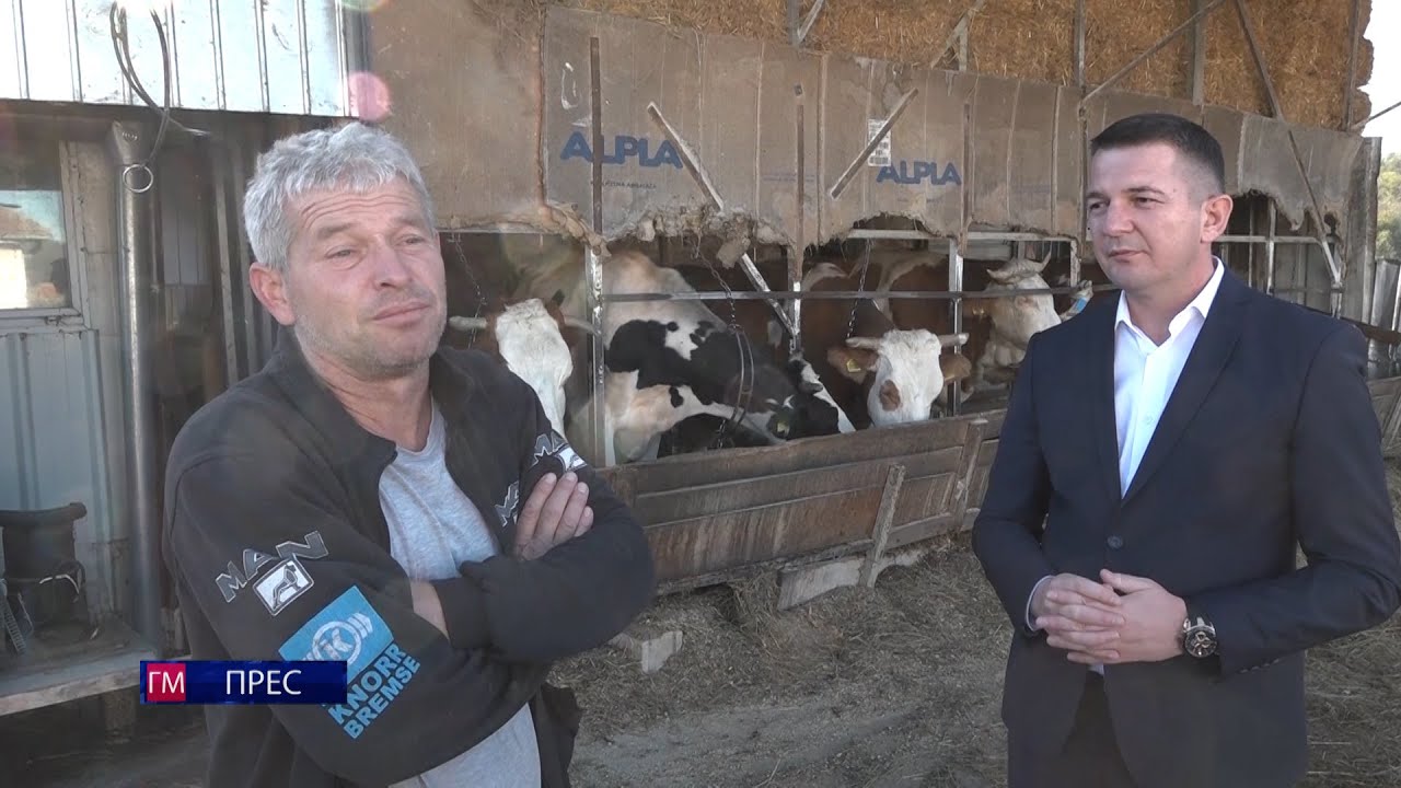 PRILOG - GAZDINSTVO MARINKOVIĆA IZ DONJE VRBAVE BROJI PREKO 50 GRLA STOKE/ 14. 11. 2023./ TV GM PLUS