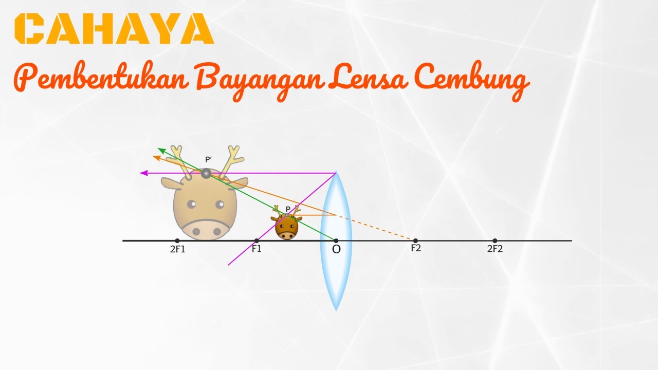 Animasi Pembentukan Bayangan Pade Lensa Cembung [ALAT OPTIK] Episode #17