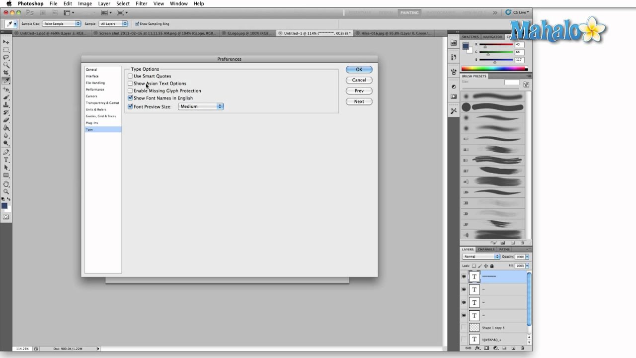 Learn Adobe Photoshop - Type Preferences