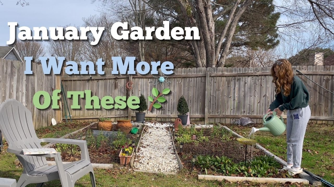 January Flower Garden | Flowers & Plants I’d Choose Again | Zone 8B Flower Garden