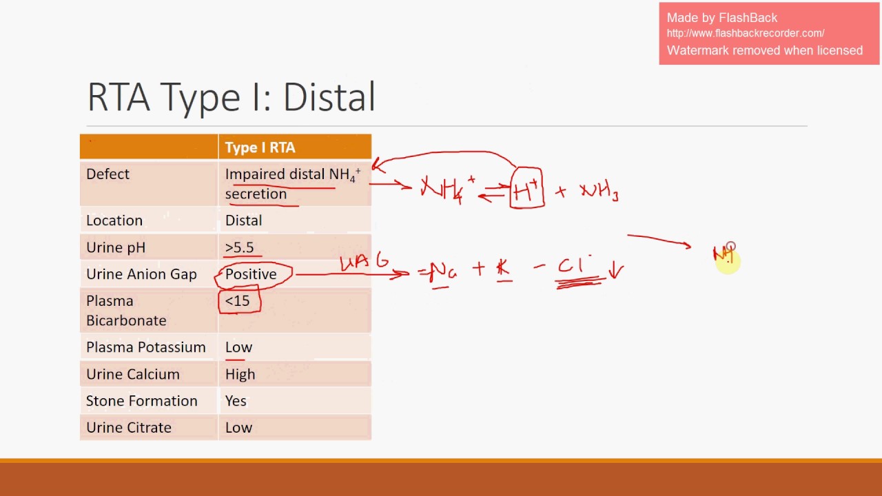 Renal Tubular Acidosis: Type 1