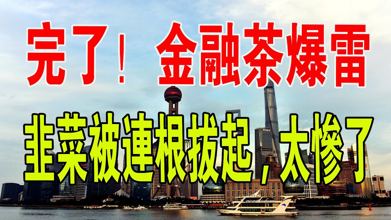 廣州芳村「金融茶」爆雷，涉案金額超5億元。5萬跌到2000，普洱茶變「金融茶」，年輕小夥兩個月「血洗」上百茶商。#茶 #爆雷 #金融 #中國新聞 #廣州