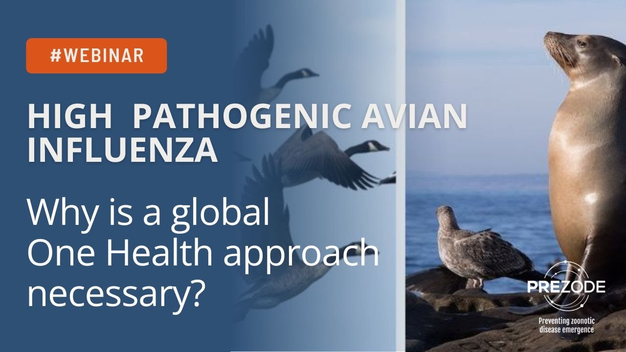 WEBINAR - High Pathogenic Avian Influenza