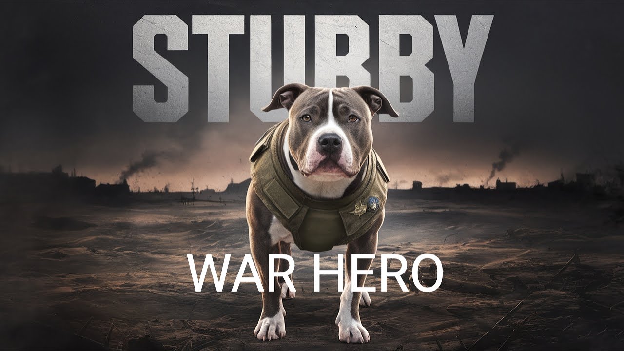 Stubby: The Dog who Became a War Hero