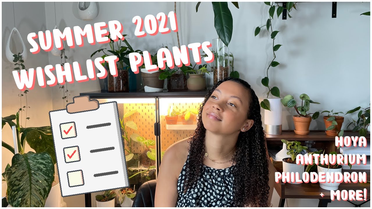 2021 Houseplant WISHLIST | Rare Plants I Want!