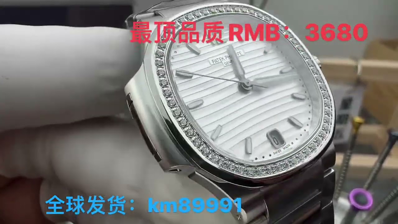 3K钻圈女鹦鹉螺