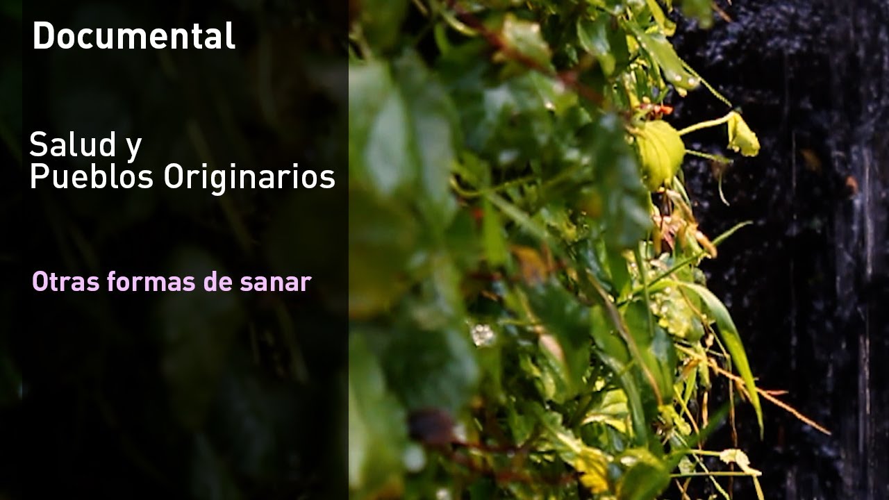 Salud y Pueblos Originarios: Otras formas de sanar