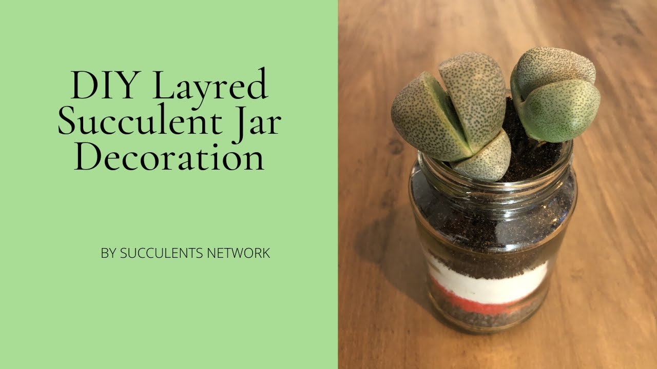 DIY Layered Succulent Jar Decoration