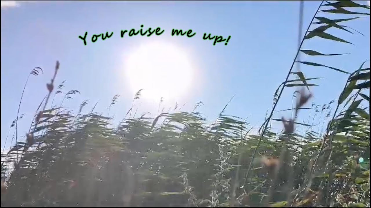 YOU RAISE ME UP -  Ondin Brezeanu violin &  Madalina Pasol piano