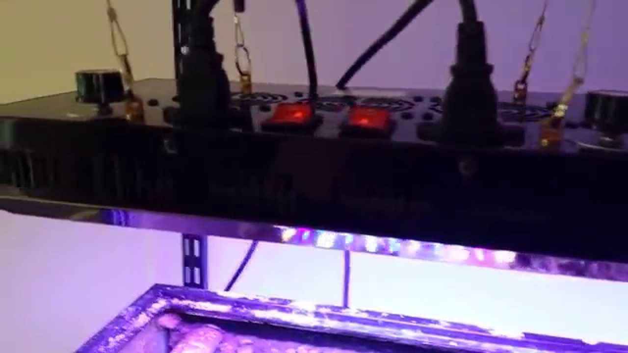 New full spectrum 120 watt led