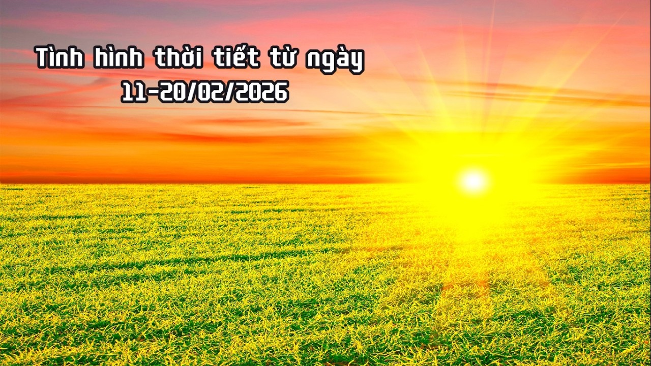 Bản tin Thời tiết nông vụ khu vực Phụng Hiệp từ ngày 10-20/2026