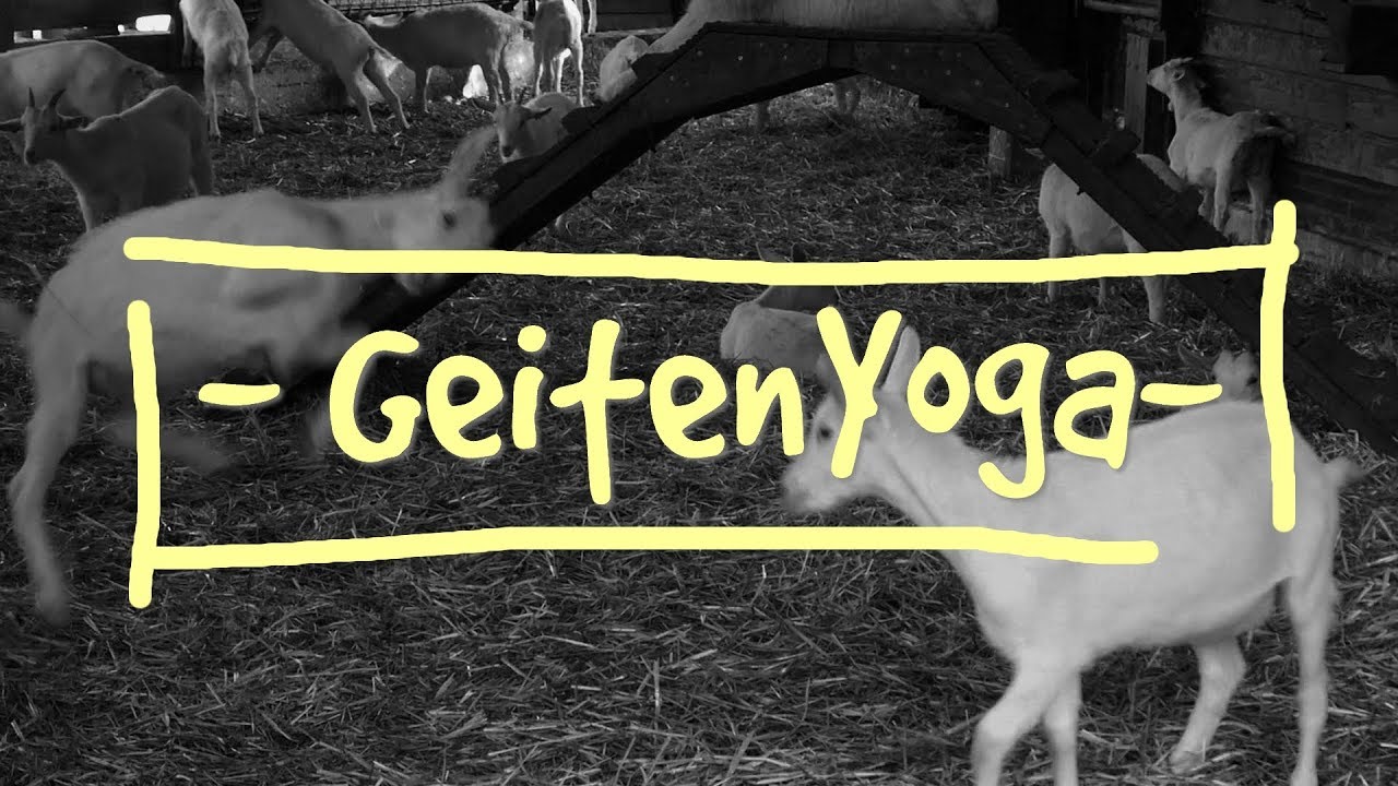 🐐 GEITENYOGA 🐐