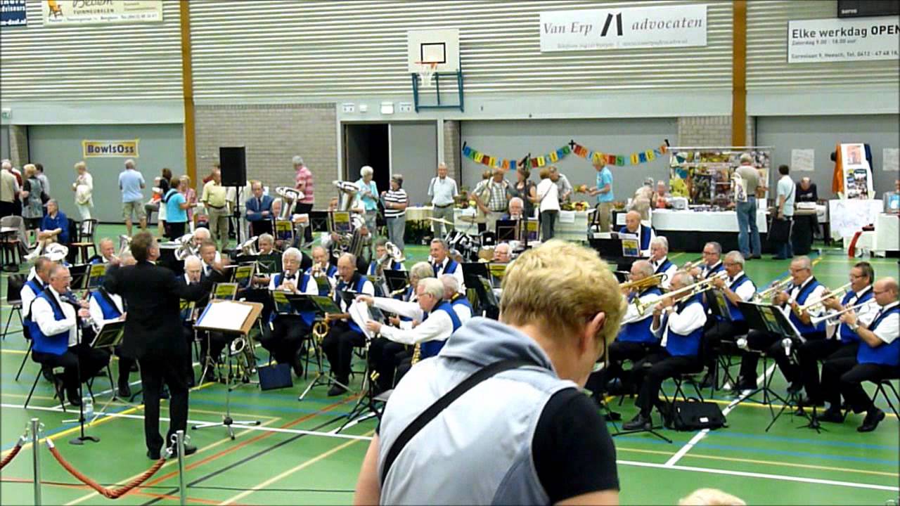 The Maaslands Senior Harmony Orchestra.wmv