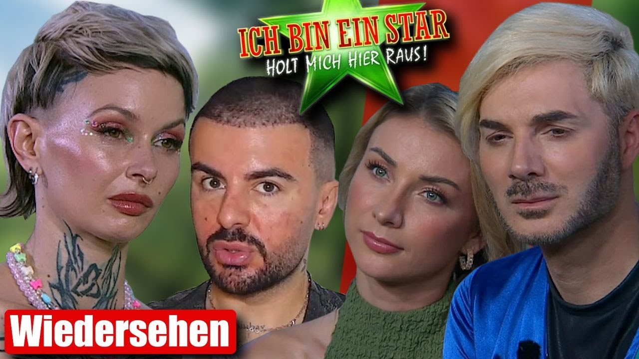 Die Blicke, w&auml;hrend Edith redet...|&nbsp;Wiedersehen Dschungelcamp 2025 |&nbsp;Sanijel Jakimovski