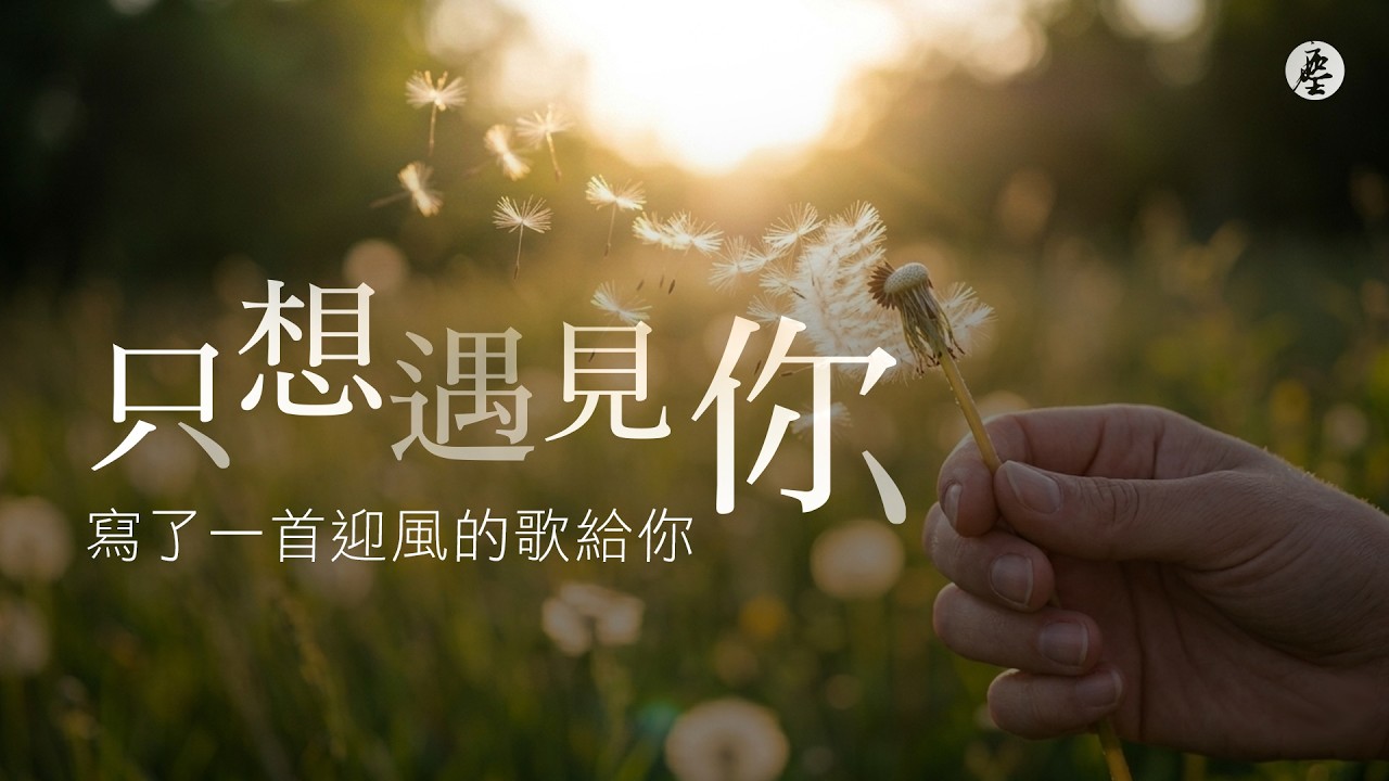 《只想遇見你》｜同名小說《只想遇見你》主題曲｜療癒人生歌曲｜文行天地