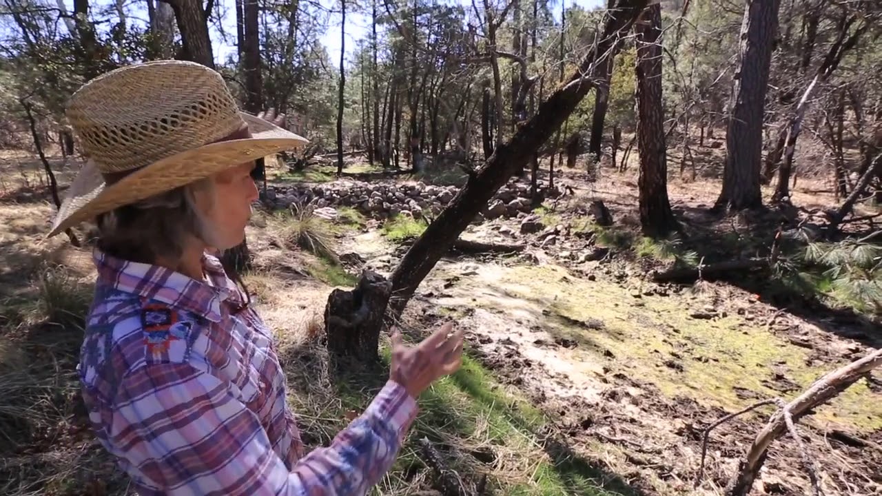 Valer Clark explains wetland restoration