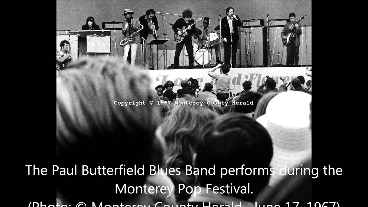 Paul Butterfield Blues Band   -Losing Hand (Live)