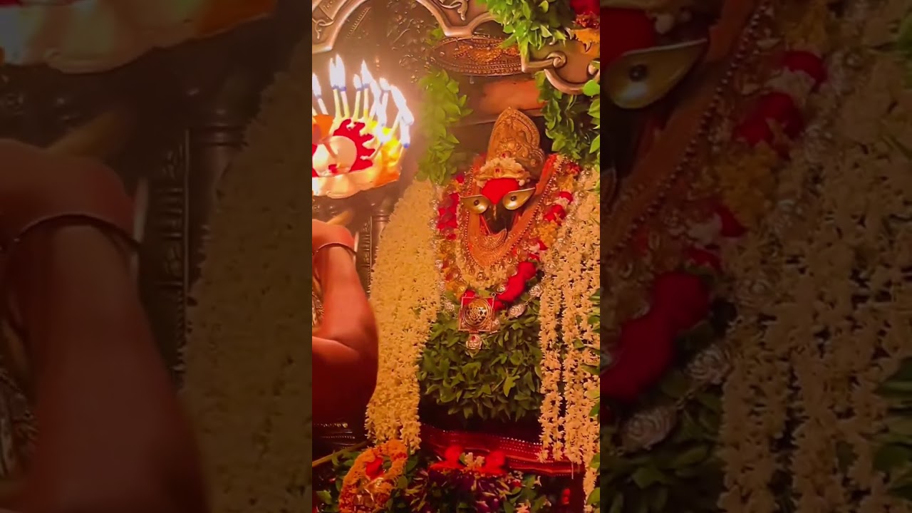 #devipachra #devigeet #devi #shorts #gurudev