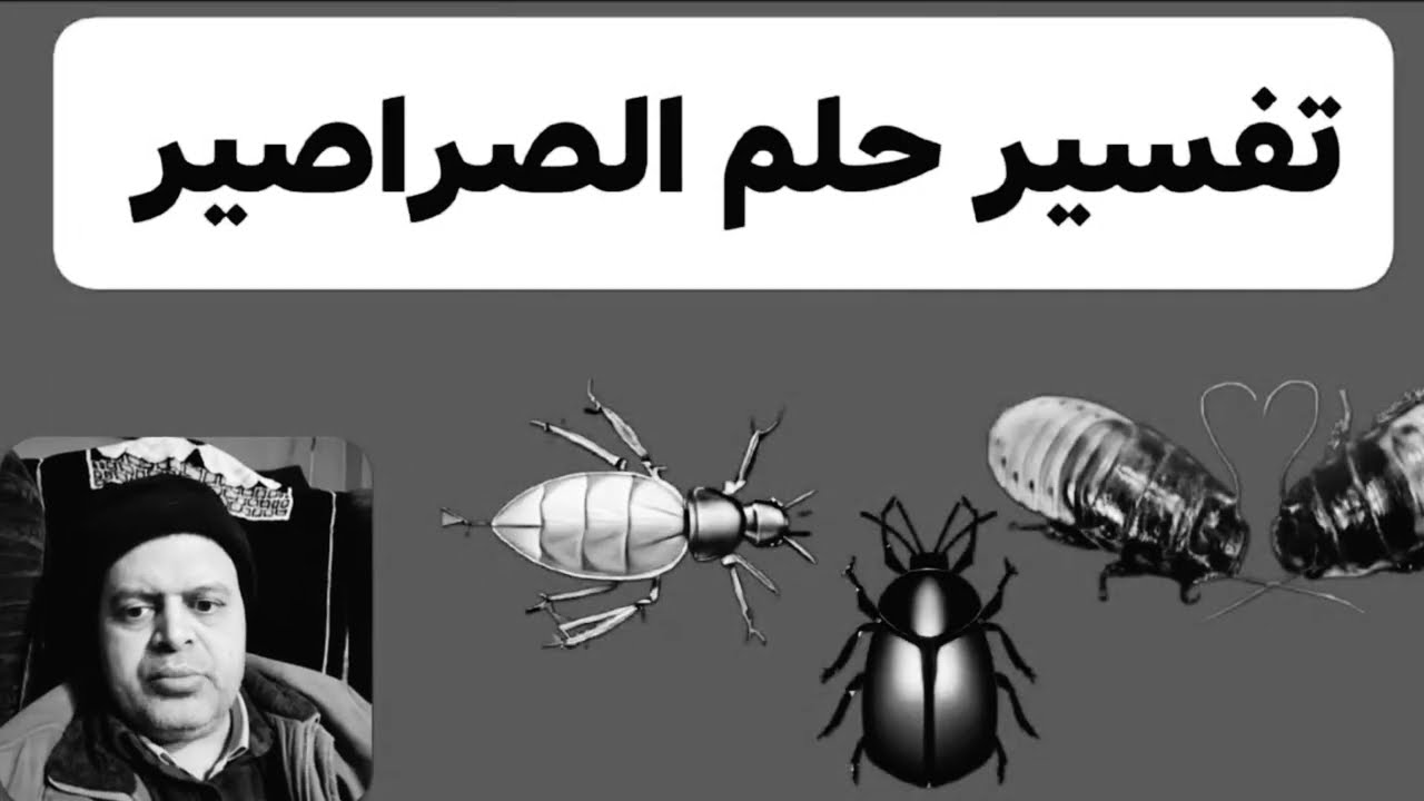 تفسير حلم رؤية الصراصير للمطلقة في المنام
