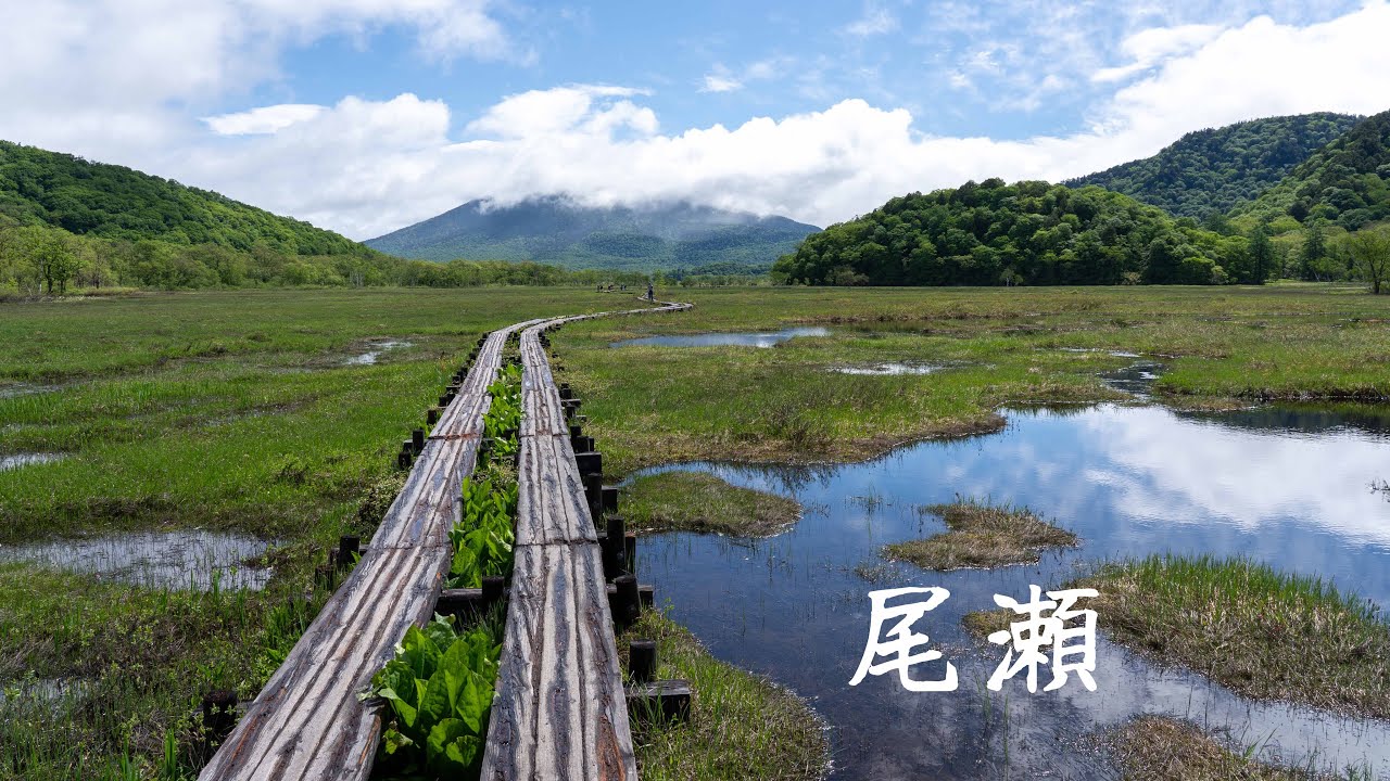 东京周边尾濑国立公园一日徒步