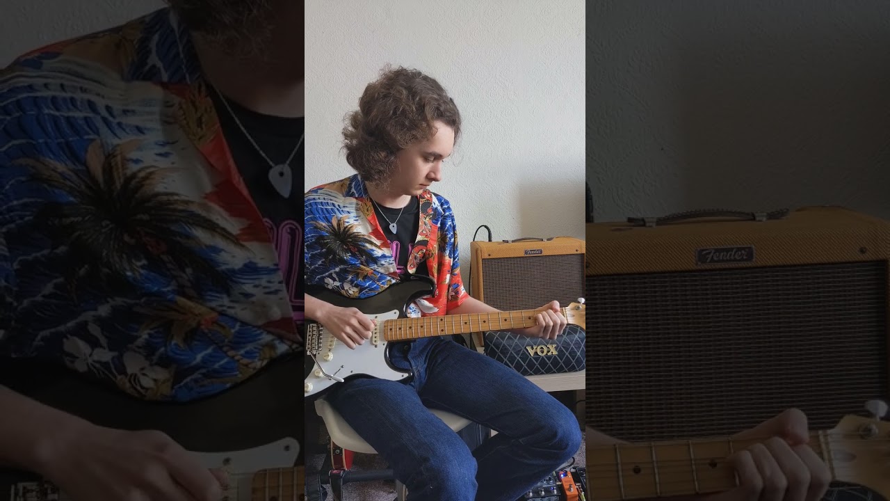 Pink Floyd: In The Flesh? (Guitar Cover)