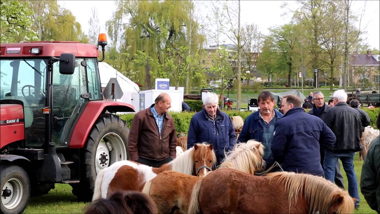 KINGSDAY  KONINGSDAG Winterswijk Paardenmarkt opnames 8 uur tot 9 uur 30 maandag 27 april 2015