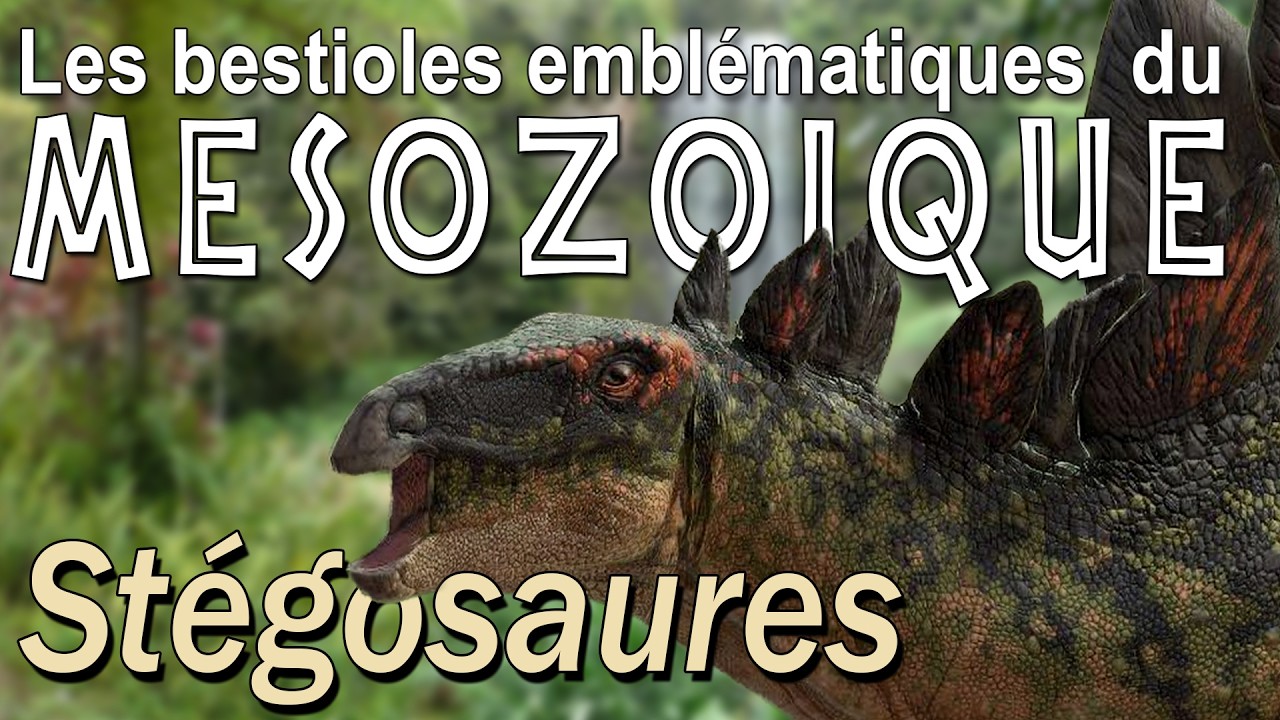 Stégosaures, dinosaures iconiques du Jurassique - paléontologie - Simplex Paléo