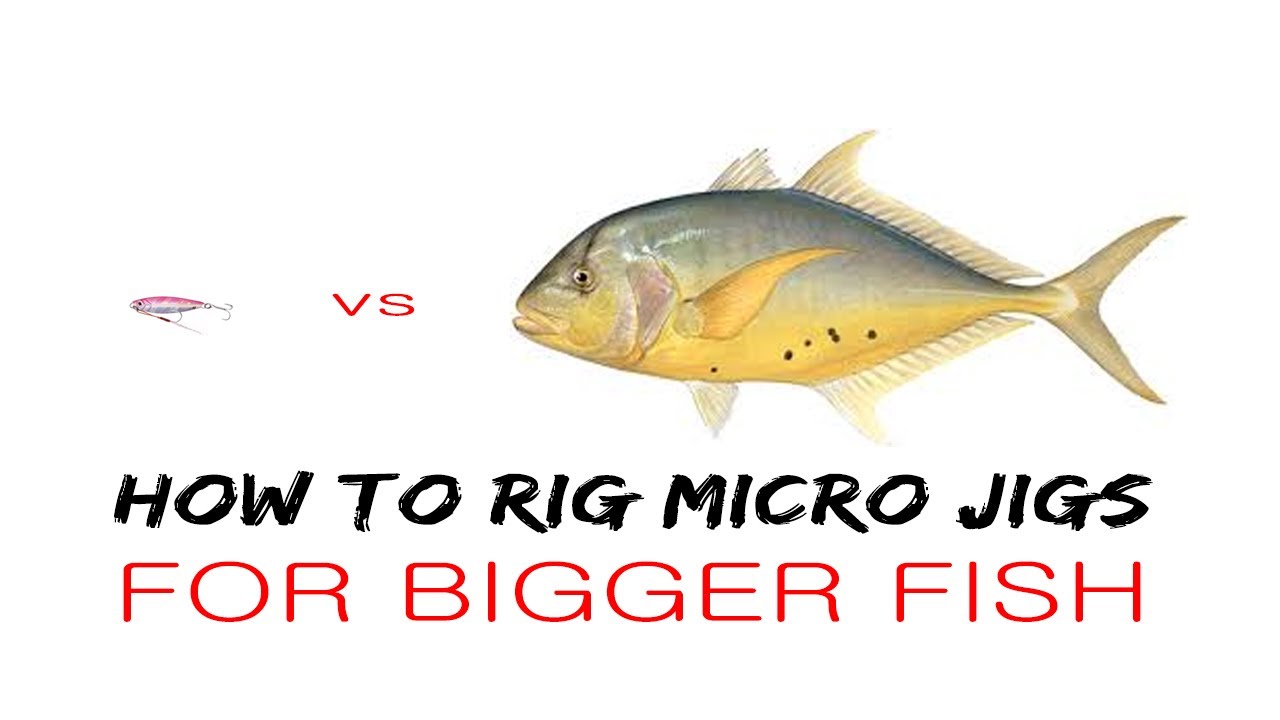 RIGGING MICRO JIGS FOR BIGGER FISH - BETTER CHANCE LANDING BIG FISH