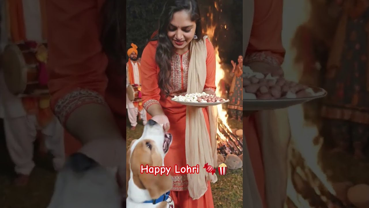 Bonfire, beats & blessings 🔥🥁✨ Happy Lohri 