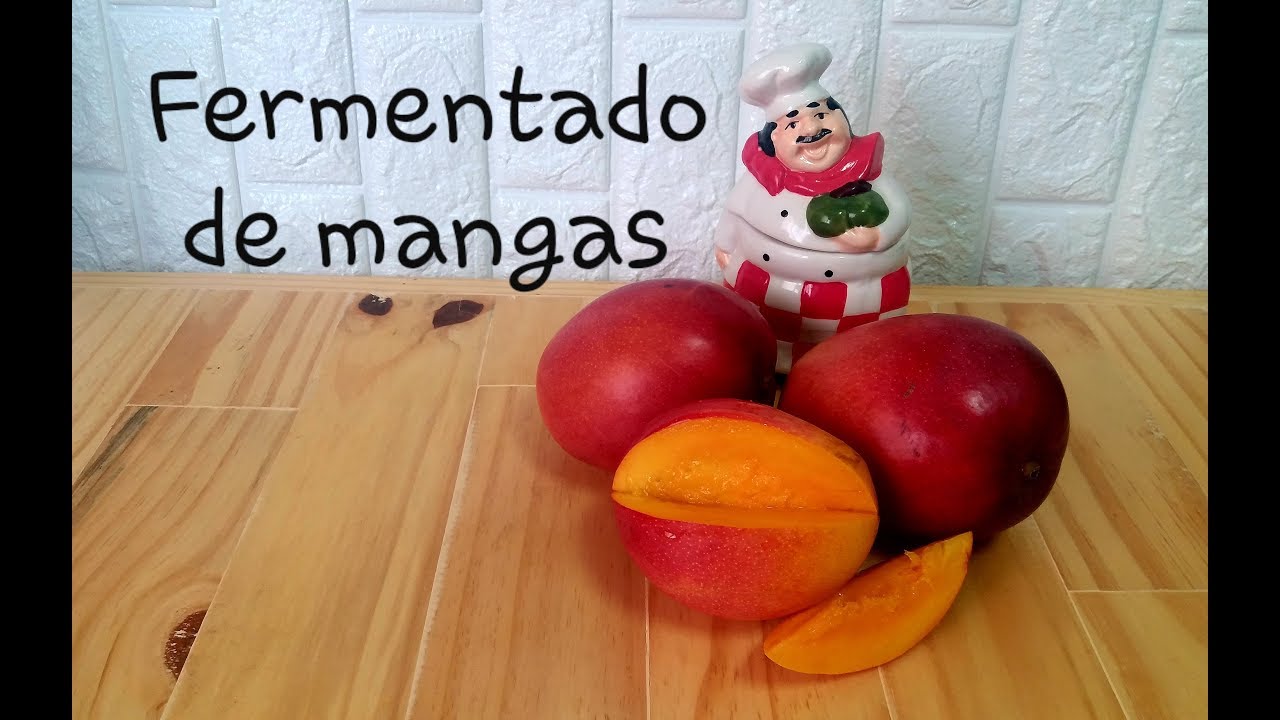 Fermentado probiótico de mangas