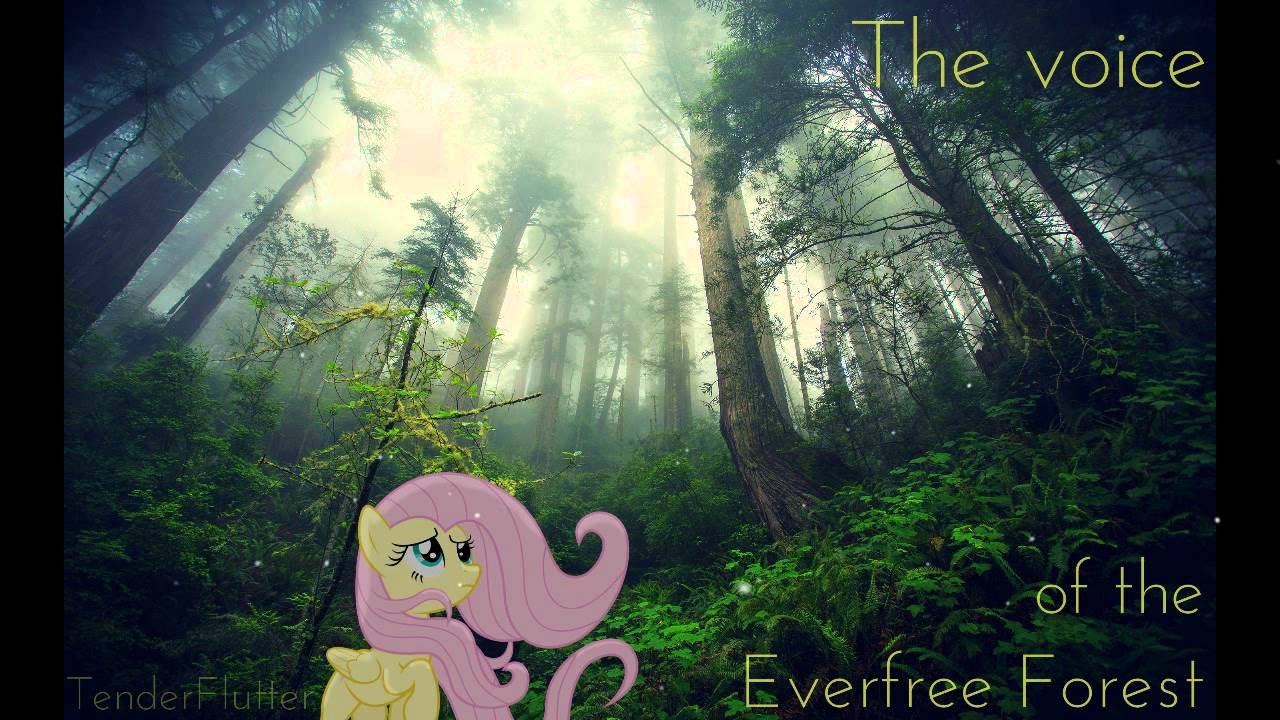 The voice of the Everfree Forest - TenderFlutter