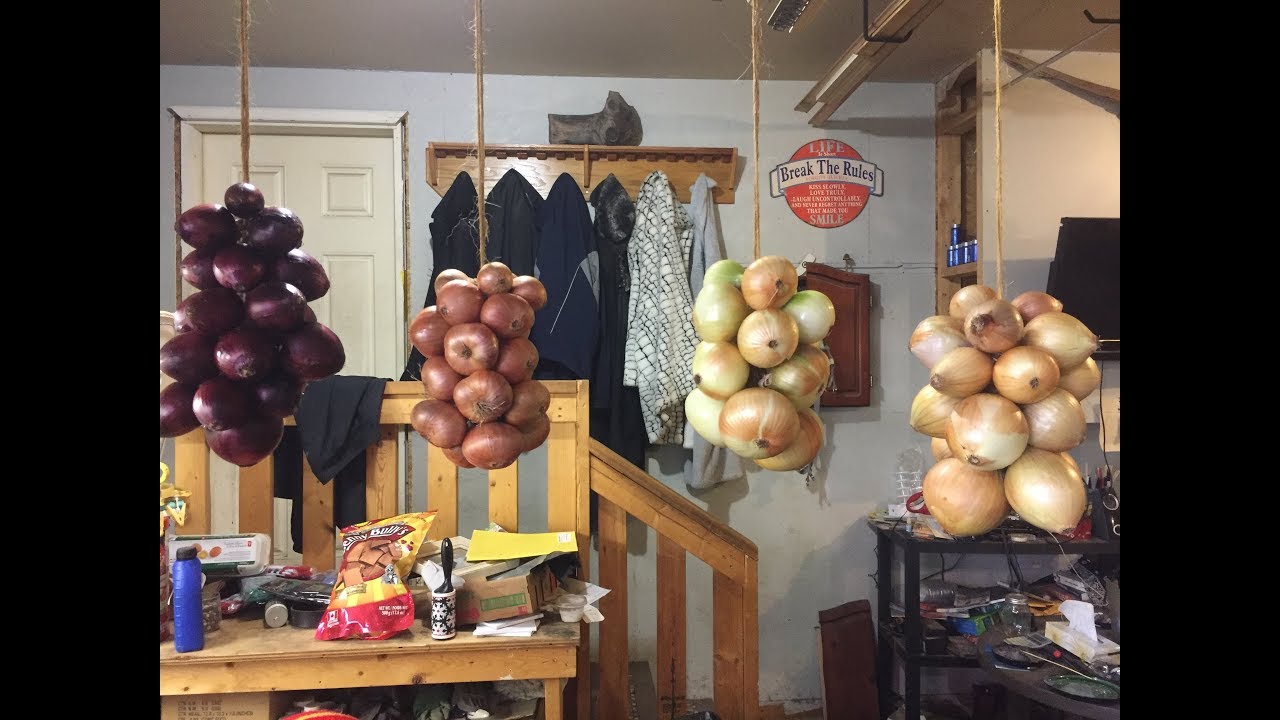 How to string onions