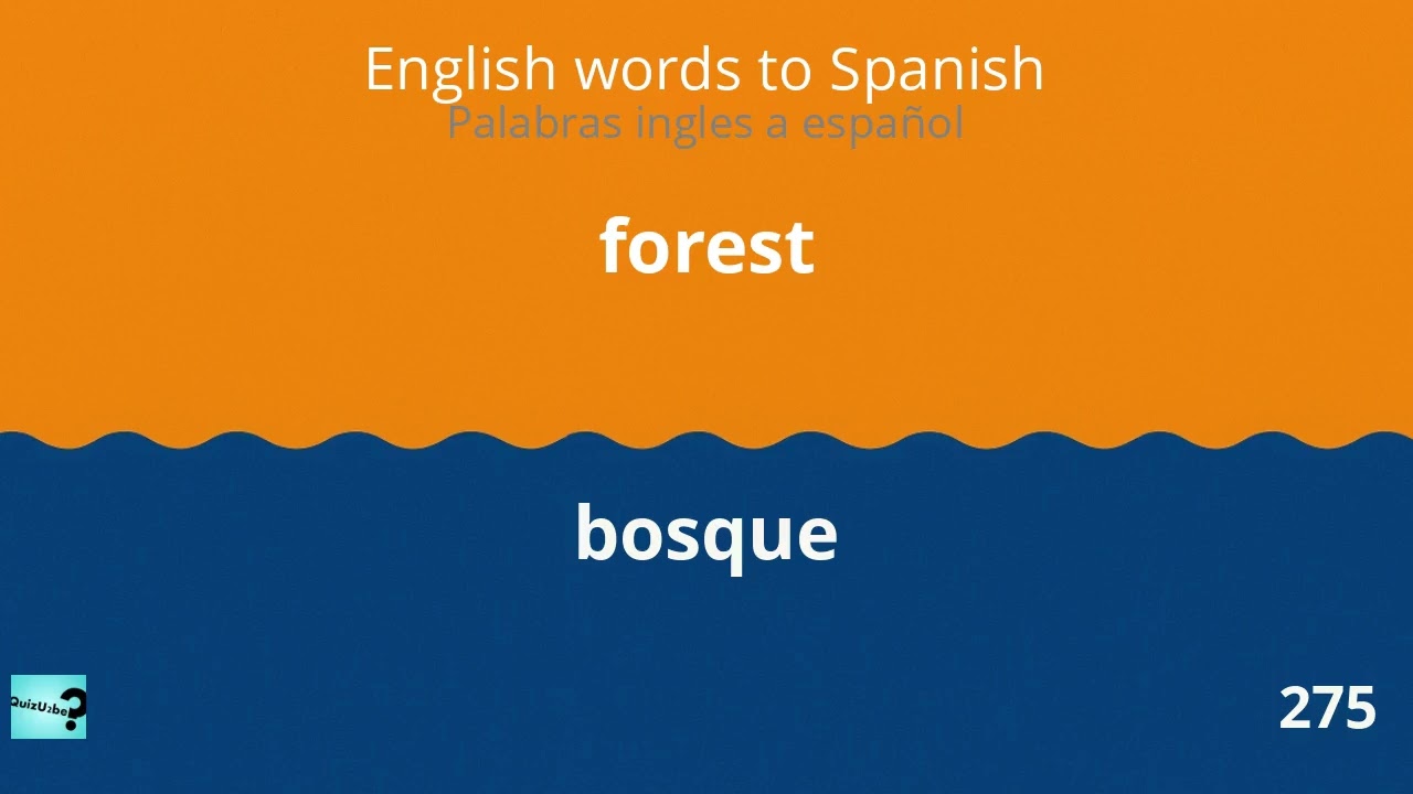 🚀 Speak Spanish Fast! Top 500 words you MUST know.