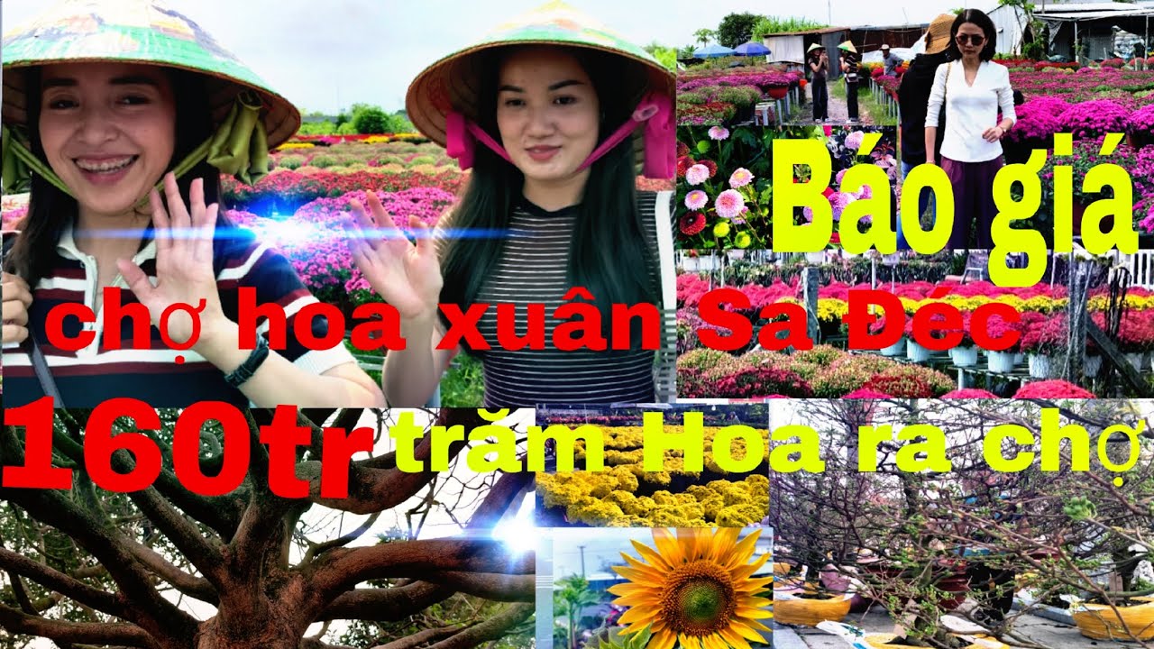Làng Hoa trăm loại ra chợ . báo giá chợ Hoa Sa Đéc nhộn nhịp mai vàng bông Hoa ra chợ đón xuân 2026