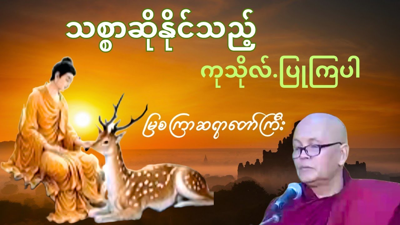 သစ္စာဆိုနိုင်သည့်ကုသိုလ်#မြစကြာဆရာတော်ကြီး