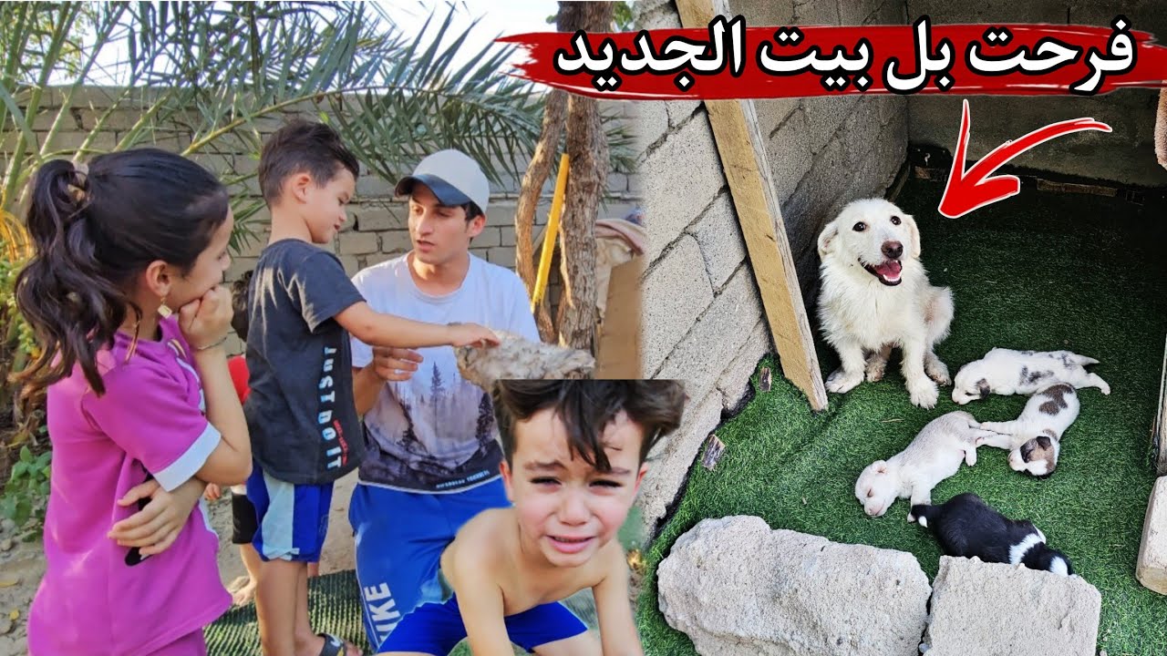 سوينا أجمل بيت للكلبه ريفه | شنو رد فعلها من تشوفه!! 😍🔥