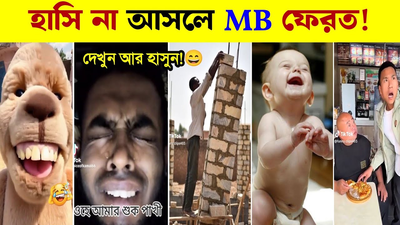 না হেসে থাকার চ্যালেঞ্জ 🤣 সেরা ফানি ভিডিও  🤣👄 Bangla New Funny Comedy Tiktok React Video🤣 Tamim Bhai