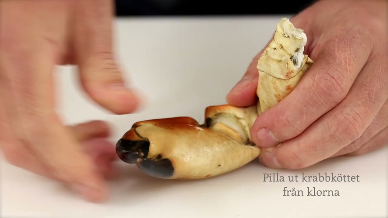 Fisk & Skaldjursskolan - Dela en krabba
