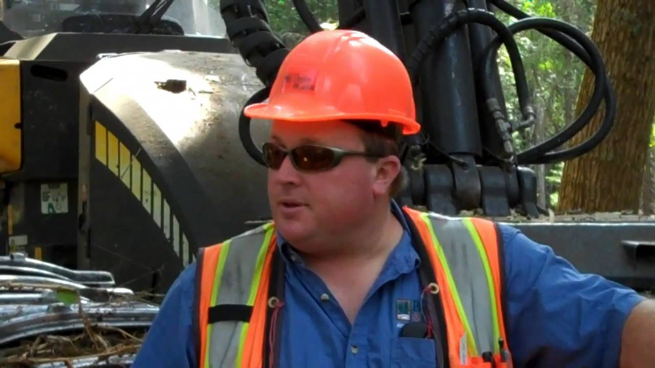 Harvesting Timber with Ponsse Cut to Length Processor and Forwarder