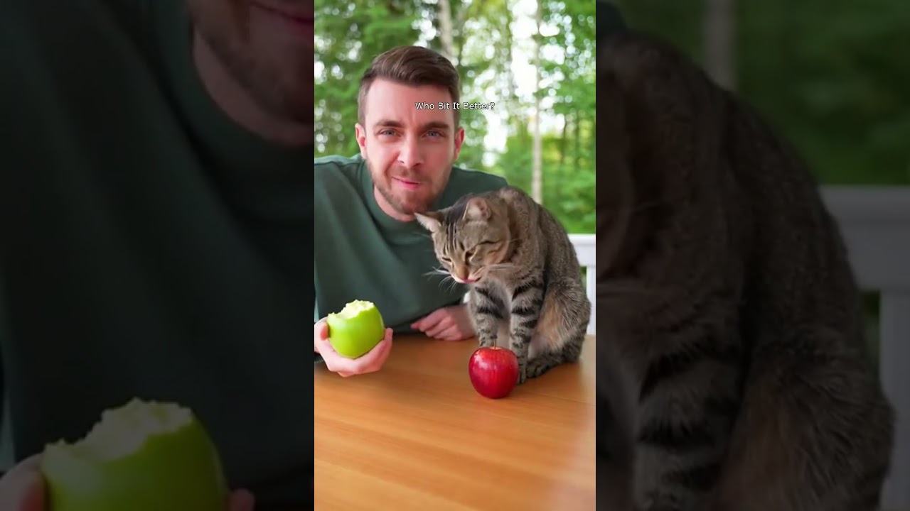 Man vs Cat Taste Test: Apple Challenge Goes Hilariously Wrong!