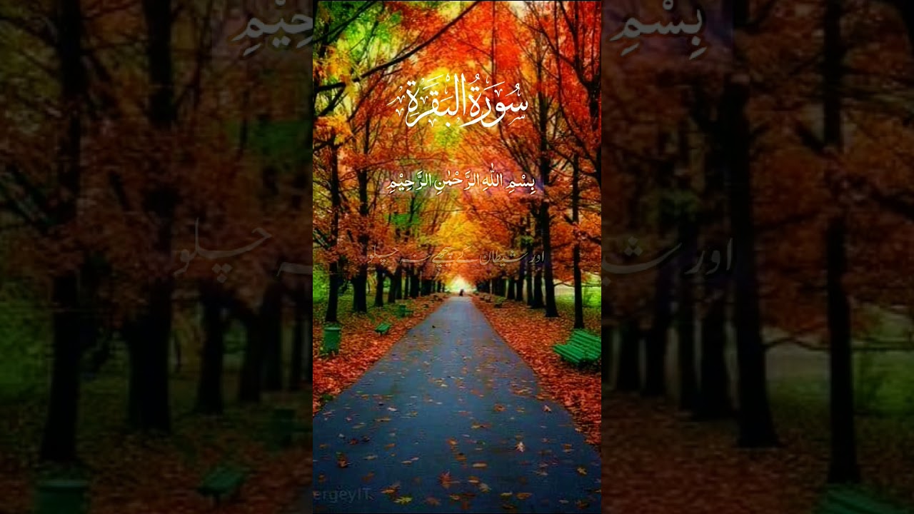 Quran shrif #bayan #binhamin #barka #muharraq #gdmorning