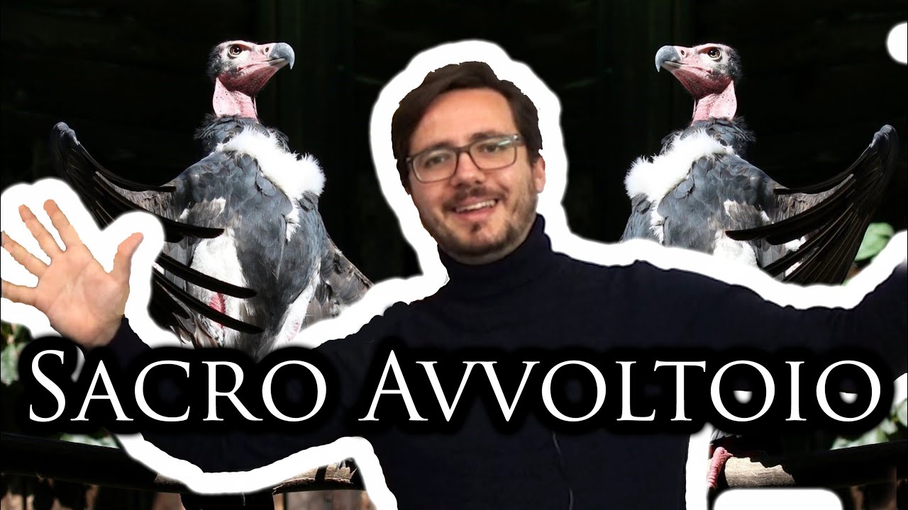 La sacralità dell'avvoltoio