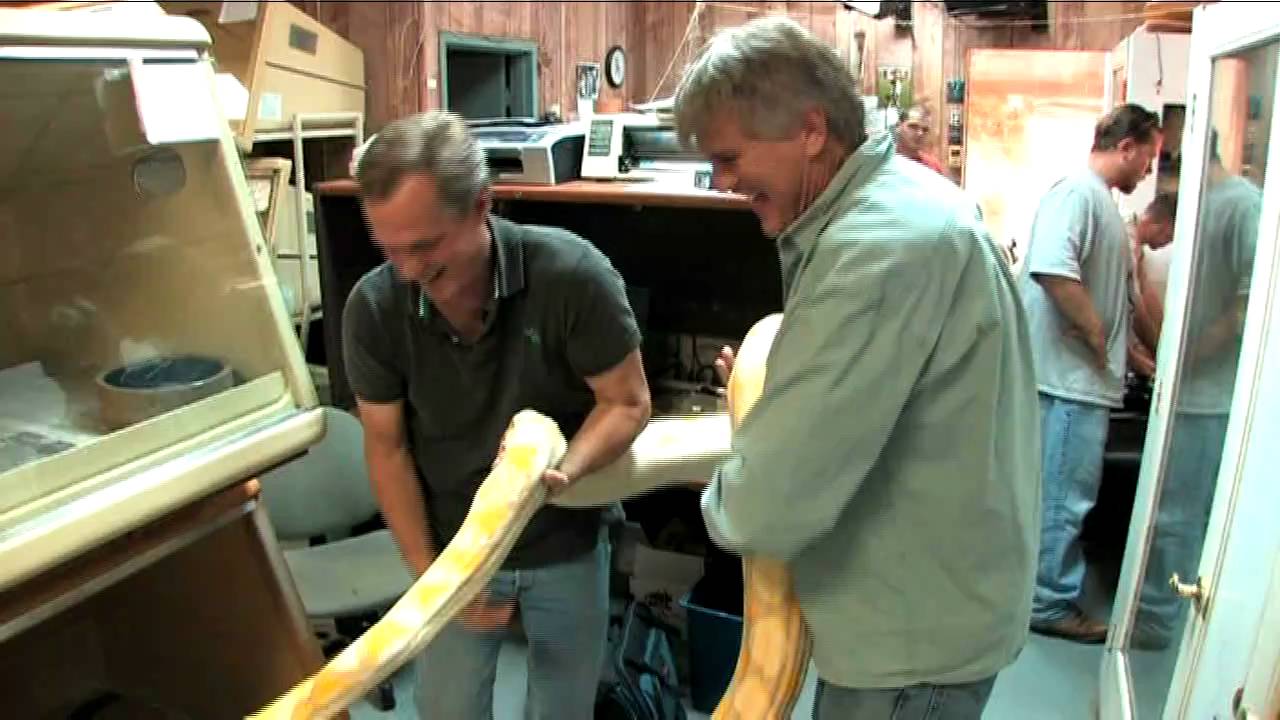 snake collectors.mov